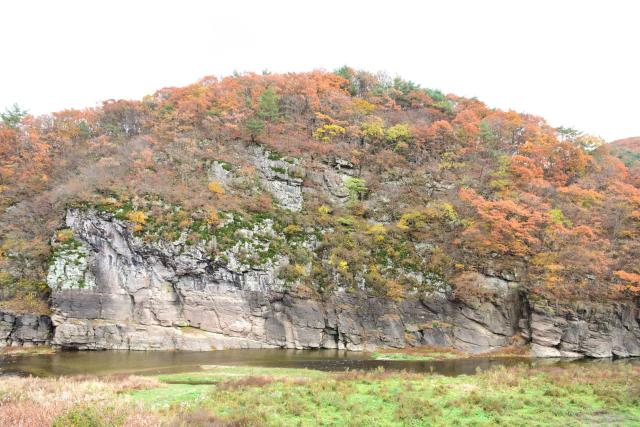 반구대암각화