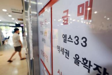 금감원 부동산 대출 쏠림, 외부 충격 시 시스템 리스크 야기 지적