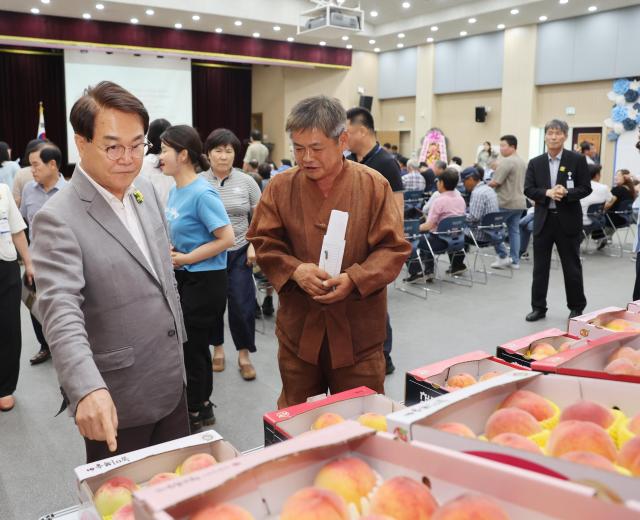 제3회 복숭아 품평회에서 김하수 청도군수가 출품된 복숭아를 둘러보고 있다 사진청도군