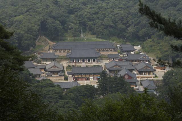 팔만대장경