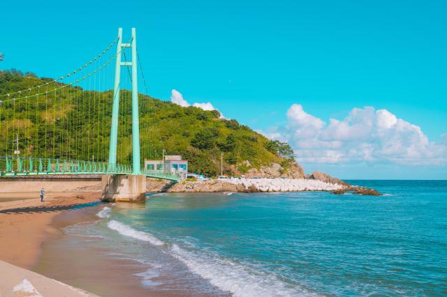 영덕 블루로드 트레킹 코스 현수교 전경 사진경상북도문화관광공사