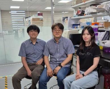 KAIST, 술 마시면 간세포가 자폭 신호…세계 최초로 밝혀낸 비밀