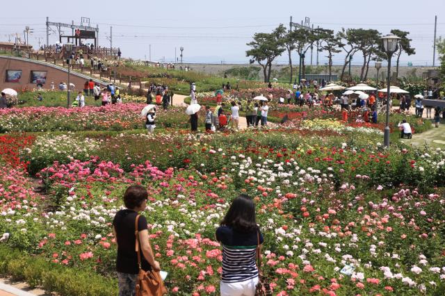 전라남도가 ‘전남관광플랫폼JN TOUR 남도숙박 할인 이벤트’를 펼치는 가운데 일부 시군에서 관광상품 할인을 진행해 전남에서 ‘반의반 값 여행’을 즐길 기회가 늘고 있다사진전남도