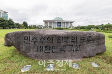 [포토] 국회에 설치된 12·3 계엄 해제 상징석