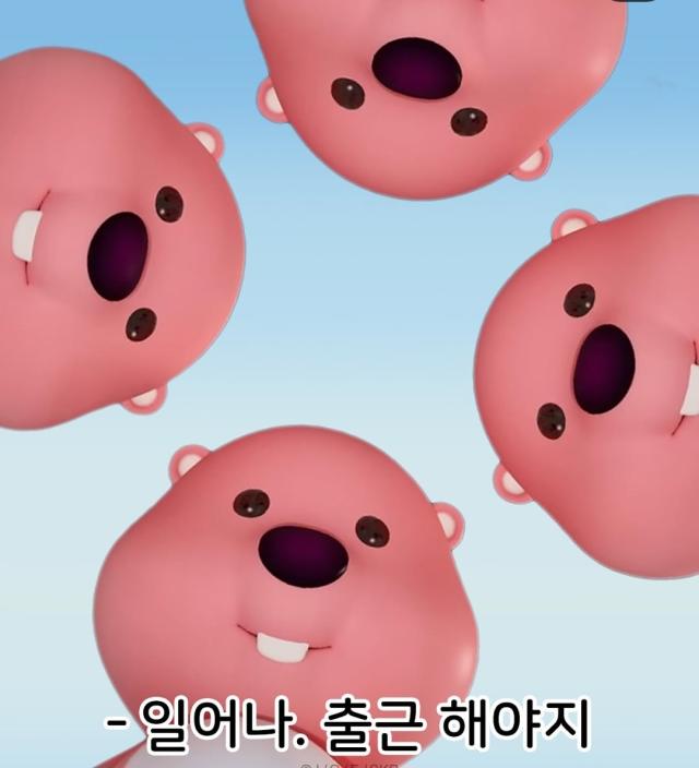 잔망루피 사진잔망루피 인스타그램