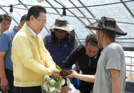 김영록 지사 호우피해 조속한 복구·실질적 지원 온힘