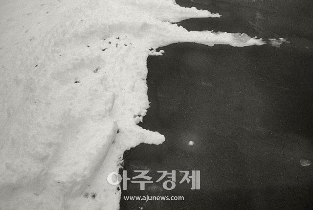 사진안목출판사