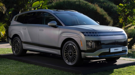 Hyundais electric vehicle exports plunge 88 percent amid US setbacks