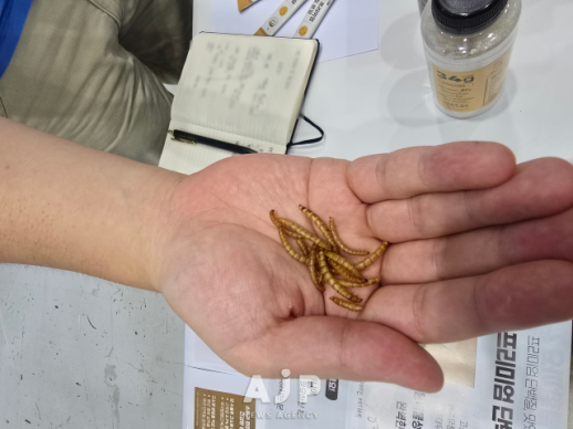[K-Tech] From creepy-crawly to culinary contender: Companies bet big on edible insects