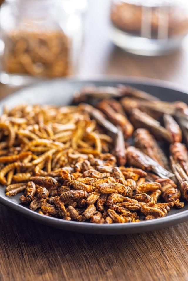 Edible insects on a platter Getty Images Bank
