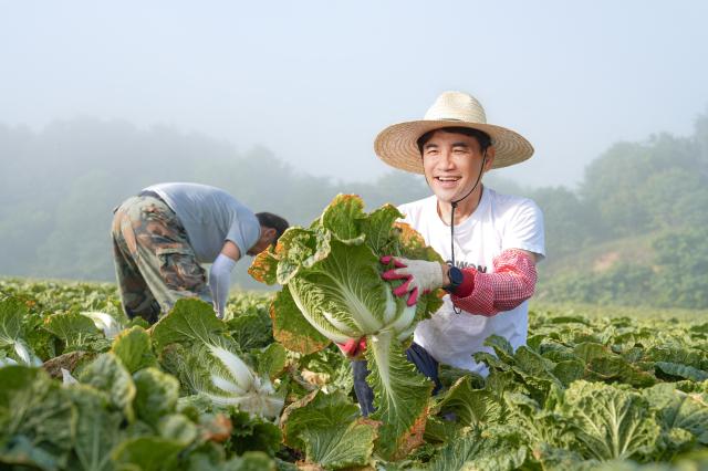 사진강원도