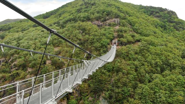 자연친화적 산악트레킹 코스 중의 하나인 구봉산 출렁다리사진전북특별자치도