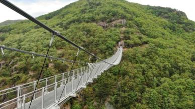 진안에 80km 명품 숲길 생긴다…산악트레킹 코스 조성 속도