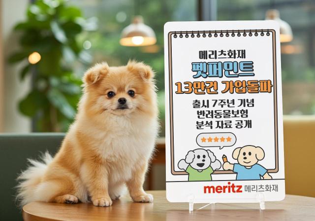 사진메리츠화재