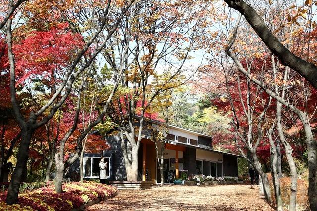 서울 종로구 삼청공원 사진종로구