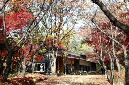 [서초 프리뷰] 무허가 갤러리 수용 두고 뒤집힌 판단…공원 조성 vs 재산권 침해