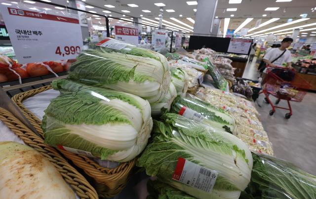 白菜变"金菜" 韩国高温致蔬菜价格暴涨