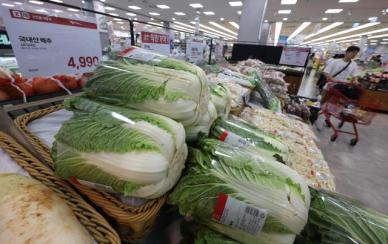 白菜变金菜 韩国高温致蔬菜价格暴涨
