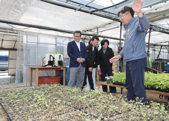 강릉시 2026년도 기술보급 블렌딩 협력모델 시범사업 공모 선정 과학영농 실증시험포 점검 사진강릉시