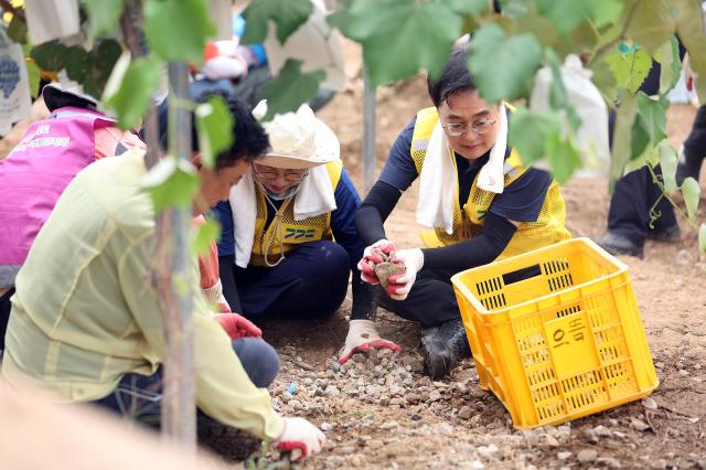 사진경기도
