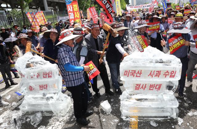 韩国果农集会反对政府开放进口美国产苹果