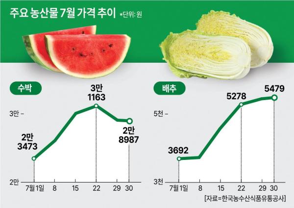 주요 농산물 7월 가격 추이 그래픽아주경제