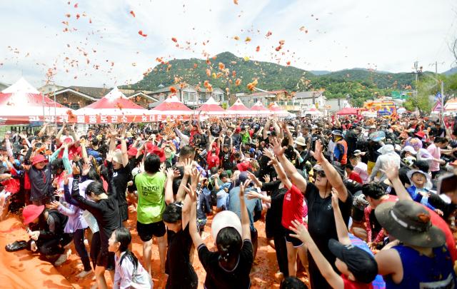 2일 2025 화천토마토축제장을 방문한 관광객들이 메인 프로그램인 ‘황금반지를 찾아라’ 이벤트에서 웃음과 응원 소리로 축제 전체의 분위기를 뜨겁게 달굽구고 있다사진화천군