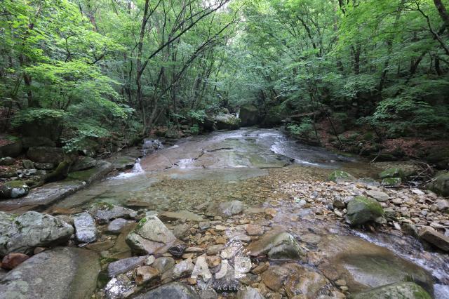 제천 금수산