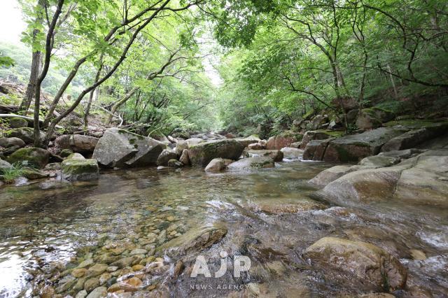 금수산 얼음골