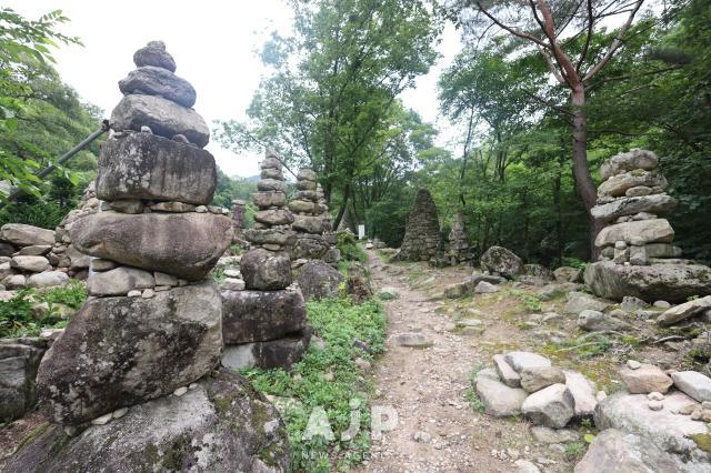 제천금수산