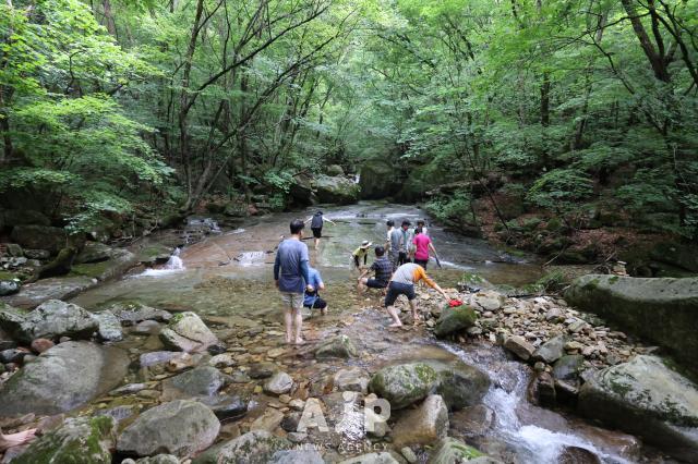 TRAVEL: Seeking solace in cold valleys of Mount Geumsu