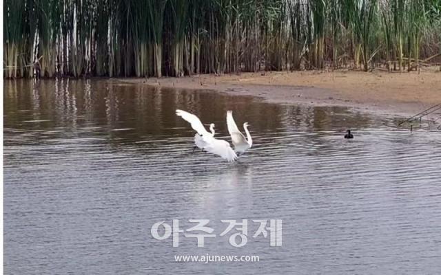 사진중국산둥망