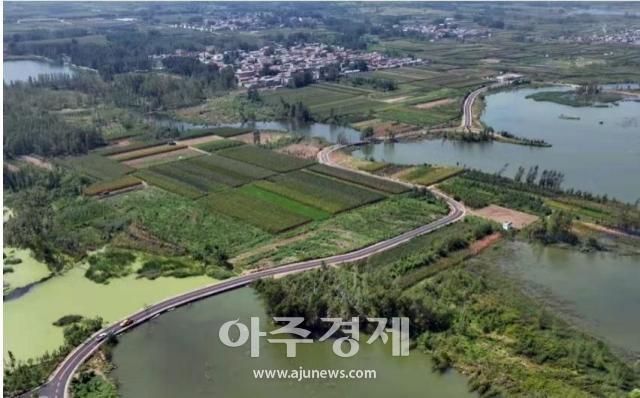 사진중국산둥망