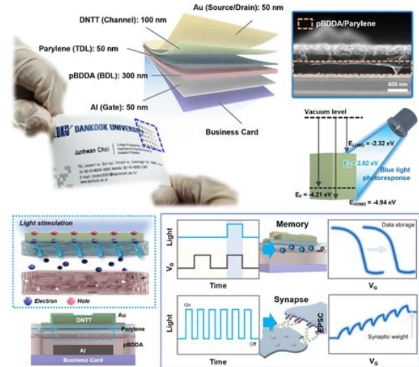 [K-Tech] Korean scientists develop AI chip that mimics human brain