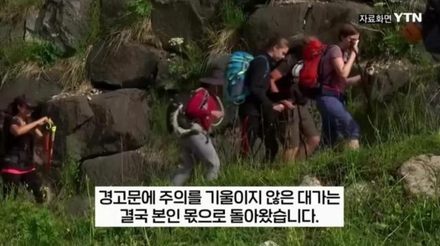 사진YTN 보도 화면 캡처