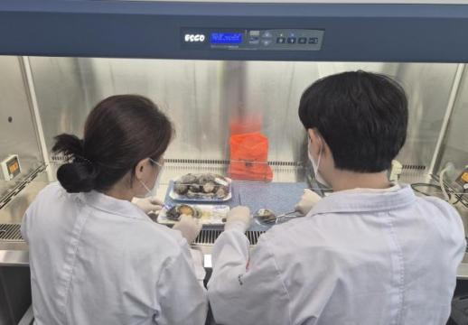 광주광역시 비브리오 주의보...당뇨환자 감염되면 쇼크 가능성   