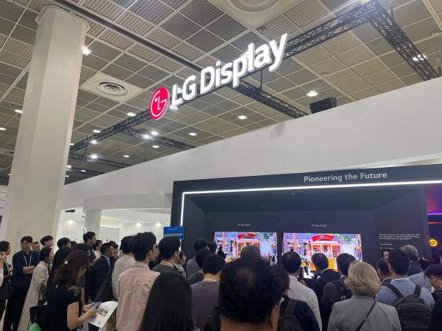 韩国最大显示展会K-Display 2025开幕 三星LG引领OLED技术潮流