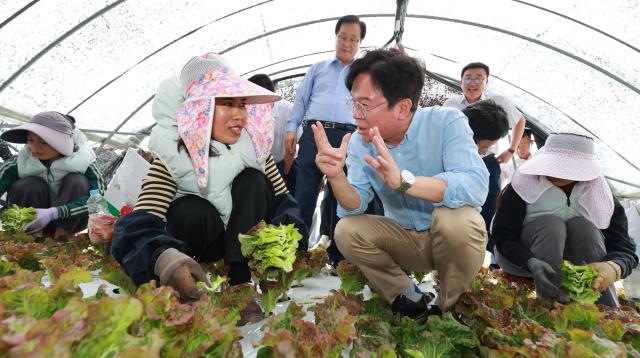 김영훈 고용노동부 장관이 8일 전북 완주군의 상추재배 시설을 찾아 외국이노동자 작업 환경을 점검하고 있다 사진고용노동부