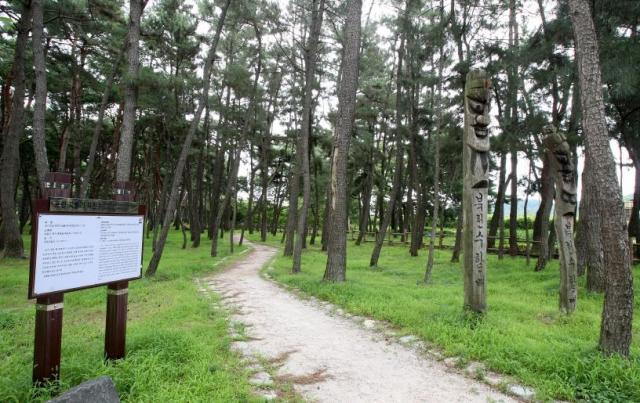 포항 북송리 북천수 사진포항시