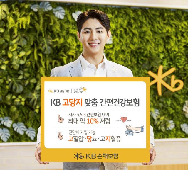 사진KB손해보험