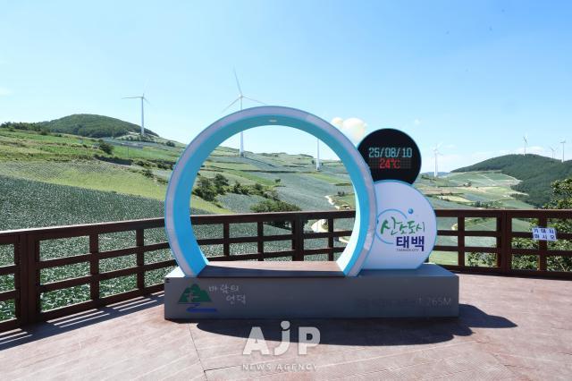 매봉산
