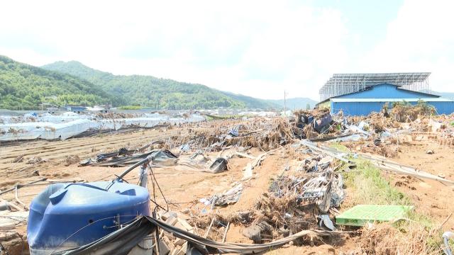 지난 8일 산청군 야정마을 수해피해현장사진농촌진흥청
