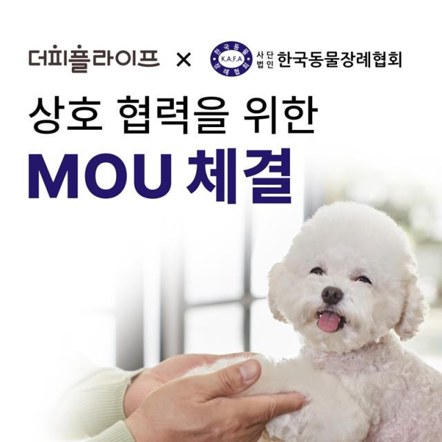 사진더피플라이프