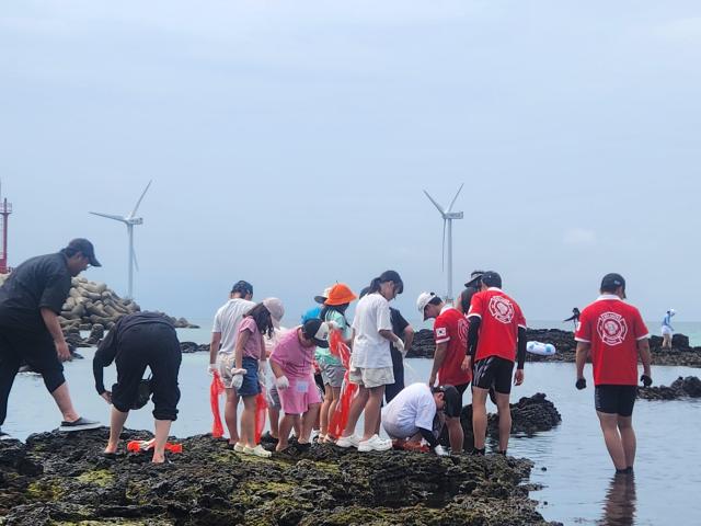 지난 4일부터 9일 진행된 아크세이버 여름캠프에서 참가자들이 정화활동을 펼치는 모습 사진아크세이버
