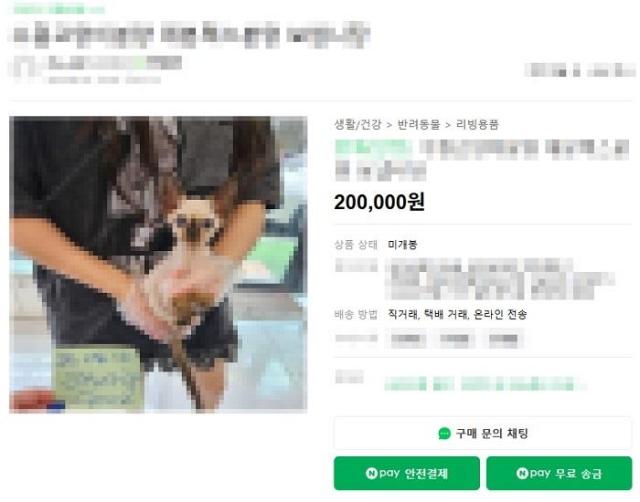 사진네이버 쇼핑 캡처