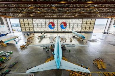 [소프트텔링ESG]항공업계 탈탄소화 난항…SAF 부족·기술 지연·탄소 상쇄 신뢰성 3중고