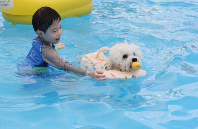 韩国宠物经济持续升温 养宠消费激增
