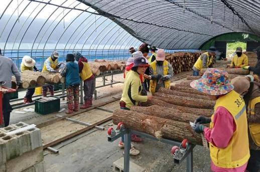 순창군 공공형 계절근로자, 다음달까지 일손부족 던다