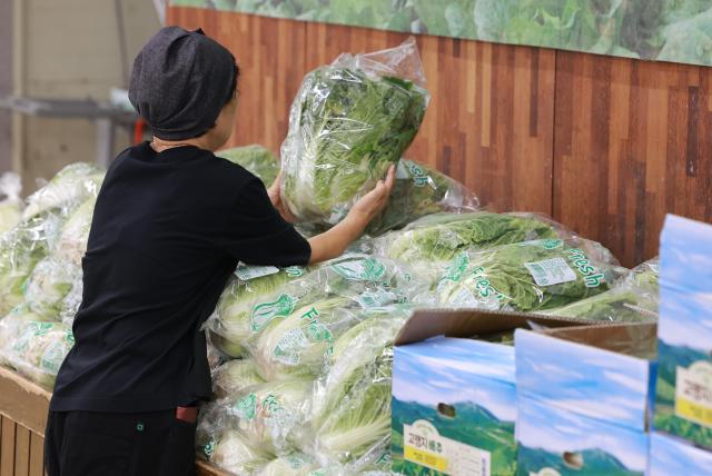 高温暴雨夹击 韩国白菜价格涨势"生猛"