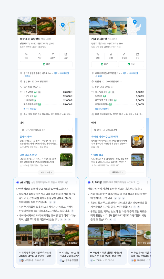 네이버가 지난 6월 선보인 ‘플레이스 AI 브리핑’ 사진네이버